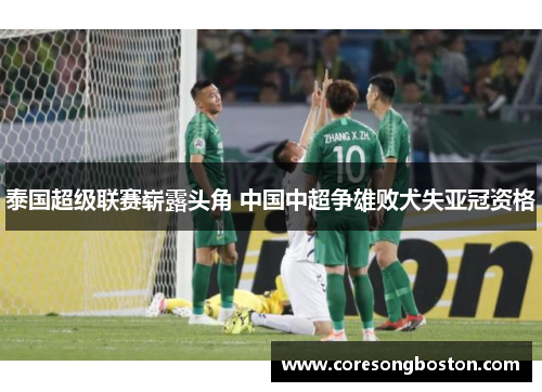 泰国超级联赛崭露头角 中国中超争雄败犬失亚冠资格